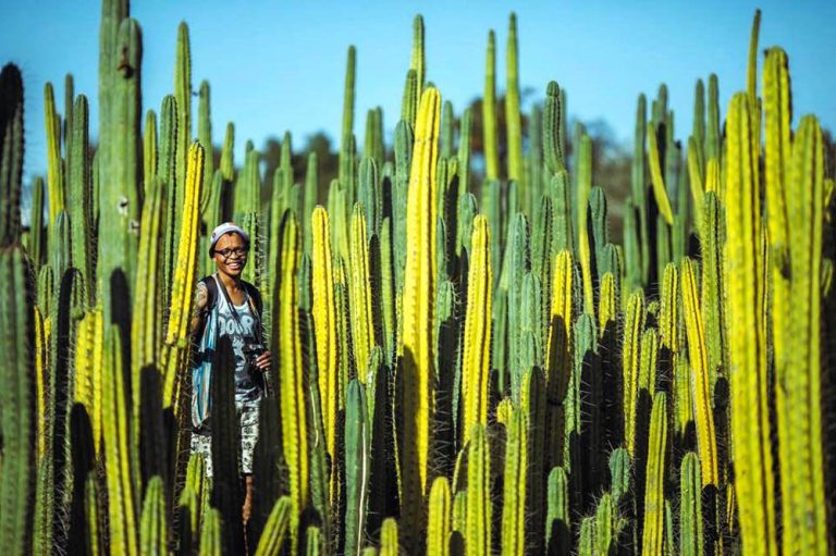 South Africa Cacti Farm
