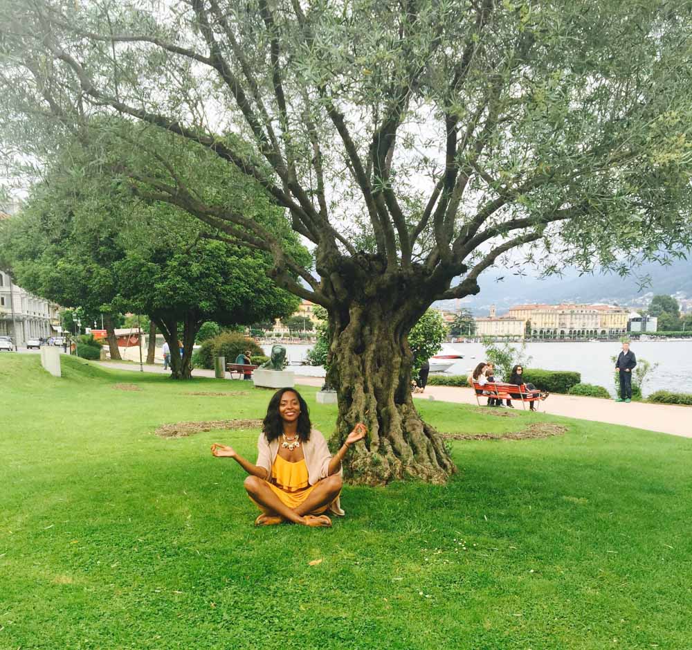 lugano switzerland tree