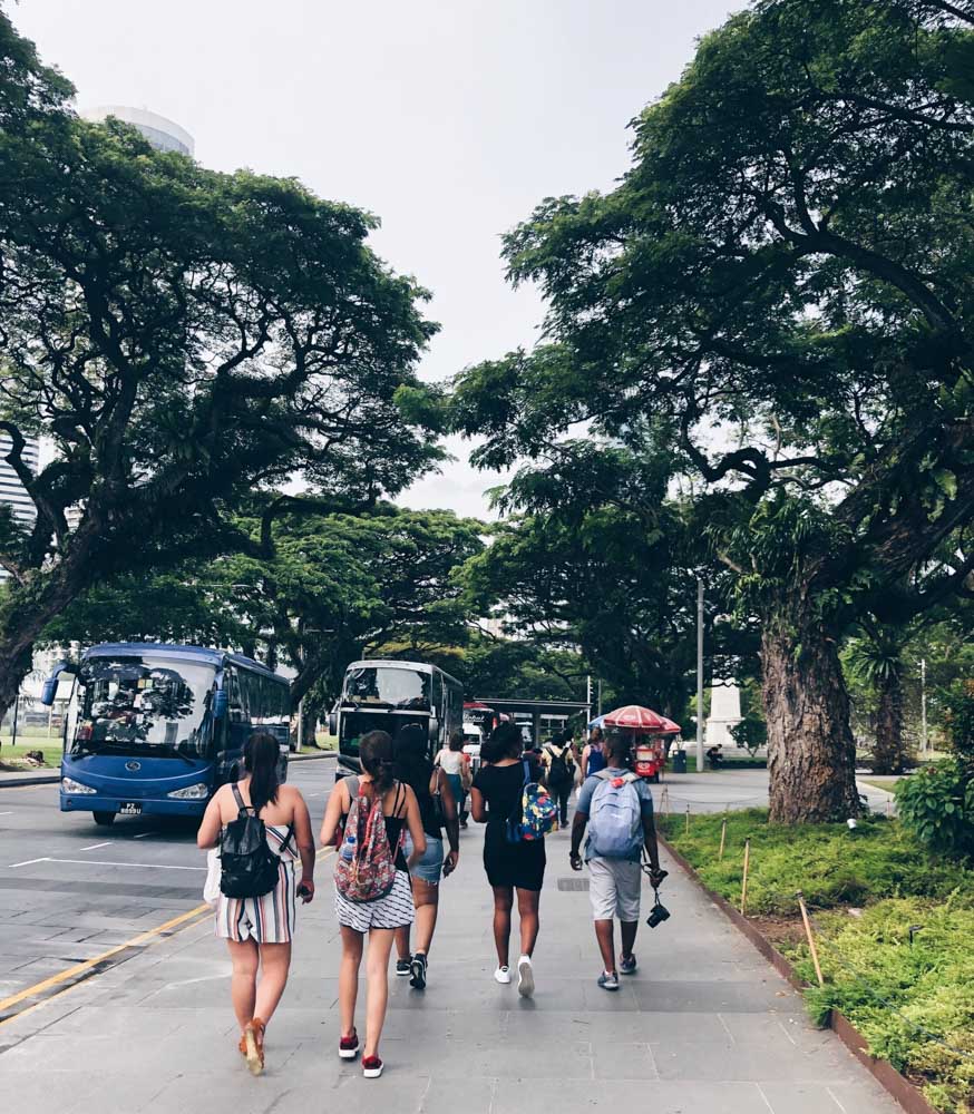 Rain trees in Singapore