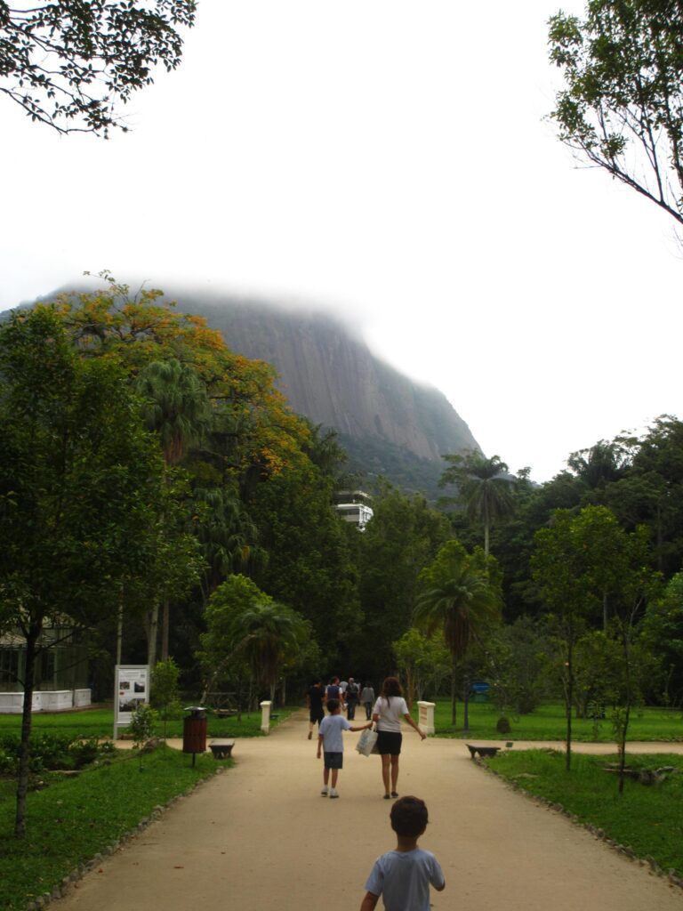 Rio park