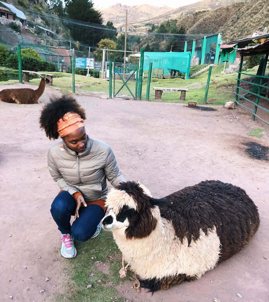 Peru Animal Sanctuary