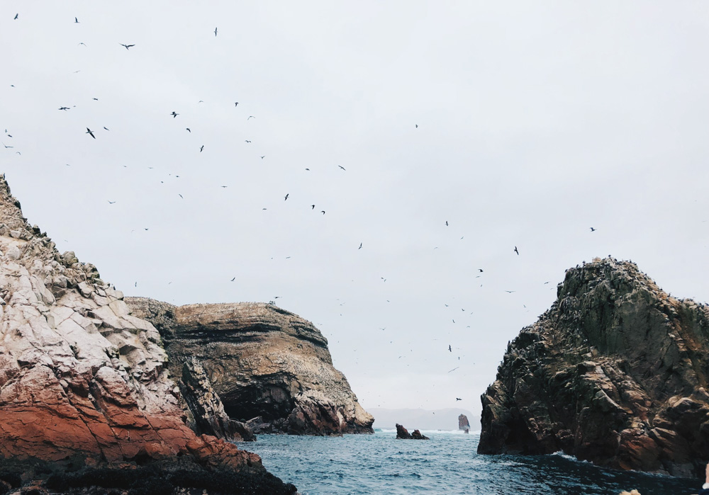 Ballestas Boat tour