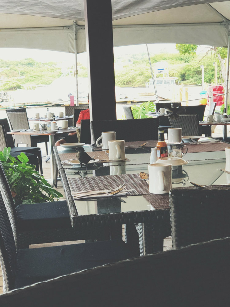 True blue boutique resort dining