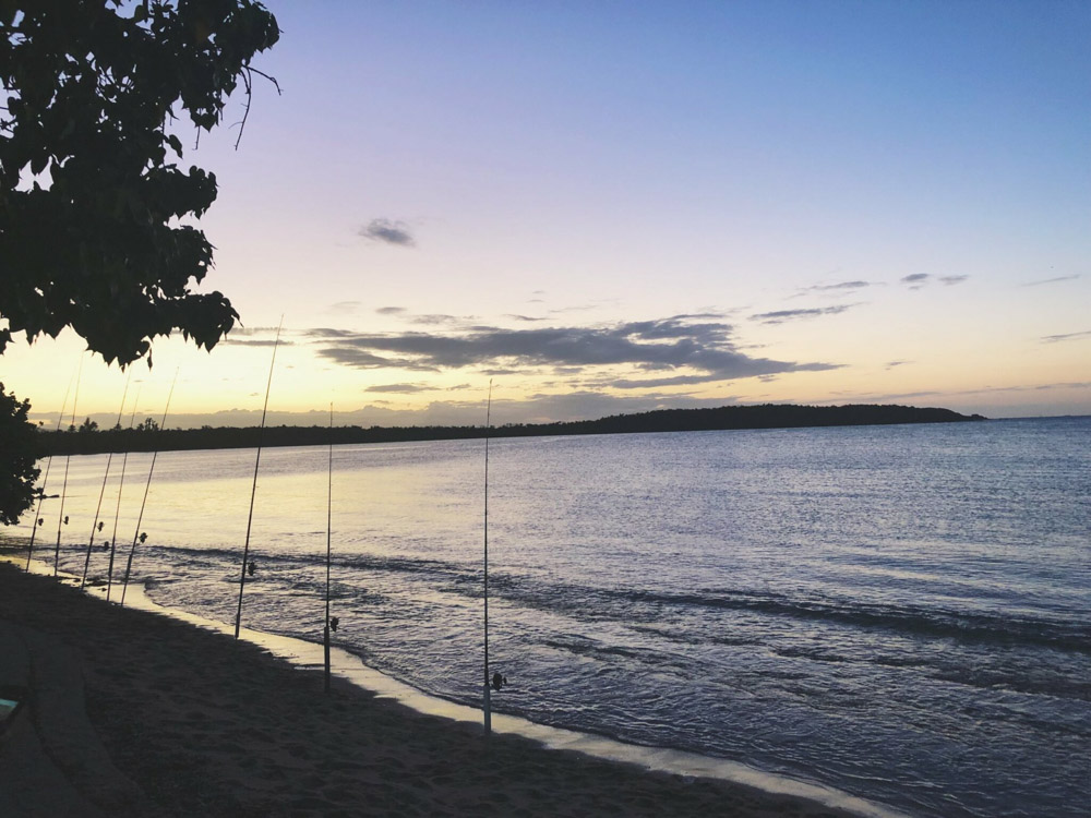 Bioluminescent Bay Tour in Puerto Rico
