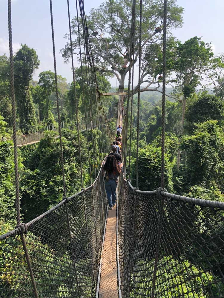 Canopies in Kakum National Park